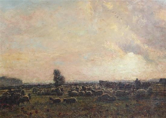 James Buxton Knight (1842-1908) Sheep in pasture 25 x 34in